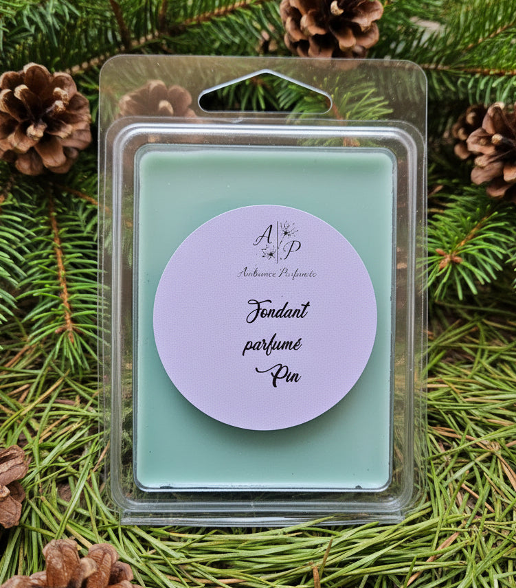 Fondant parfumé Clamshell "Pin" 60g