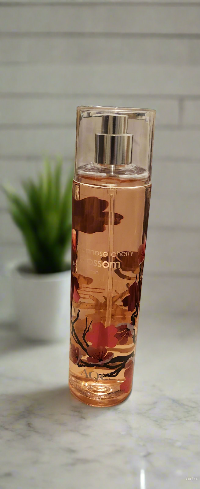 Brume "Japanese cherry blossom"