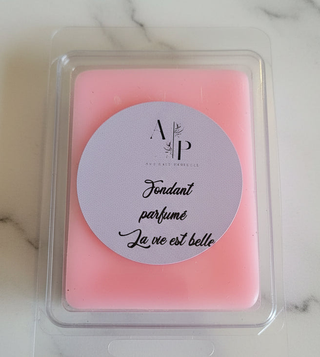 Fondant parfumé Clamshell "La vie est belle" 60g